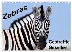 Zebras - Gestreifte Gesellen (Wandkalender 2024 DIN A3 quer), CALVENDO Monatskalender