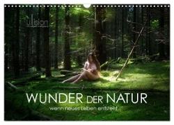 WUNDER DER NATUR - wenn neues Leben entsteht (Wandkalender 2024 DIN A3 quer), CALVENDO Monatskalender