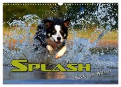 SPLASH - Hunde im Wasser (Wandkalender 2024 DIN A3 quer), CALVENDO Monatskalender