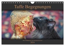 Taffe Begegnungen-Drei Waldkatzen auf Abenteuerreisen (Wandkalender 2024 DIN A4 quer), CALVENDO Monatskalender