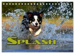 SPLASH - Hunde im Wasser (Tischkalender 2024 DIN A5 quer), CALVENDO Monatskalender