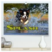 SPLASH - Hunde im Wasser (hochwertiger Premium Wandkalender 2024 DIN A2 quer), Kunstdruck in Hochglanz