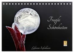 Fragile Schönheiten - Gefrorene Seifenblasen (Tischkalender 2024 DIN A5 quer), CALVENDO Monatskalender