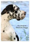 Faszination Deutsche Dogge (Wandkalender 2024 DIN A4 hoch), CALVENDO Monatskalender