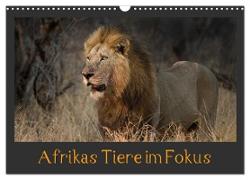Afrikas Tiere im Fokus (Wandkalender 2024 DIN A3 quer), CALVENDO Monatskalender