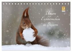 Unsere Eichhörnchen in Bayern (Tischkalender 2024 DIN A5 quer), CALVENDO Monatskalender