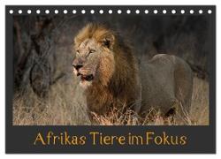 Afrikas Tiere im Fokus (Tischkalender 2024 DIN A5 quer), CALVENDO Monatskalender