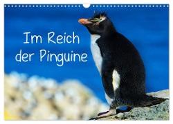 Im Reich der Pinguine (Wandkalender 2024 DIN A3 quer), CALVENDO Monatskalender