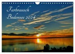 Farbrausch Bodensee (Wandkalender 2024 DIN A4 quer), CALVENDO Monatskalender