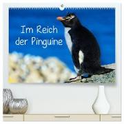 Im Reich der Pinguine (hochwertiger Premium Wandkalender 2024 DIN A2 quer), Kunstdruck in Hochglanz
