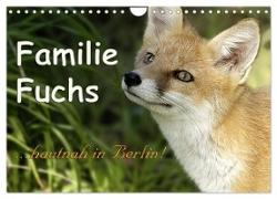 Familie Fuchs hautnah in Berlin (Wandkalender 2024 DIN A4 quer), CALVENDO Monatskalender