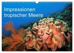 Impressionen tropischer Meere (Wandkalender 2024 DIN A3 quer), CALVENDO Monatskalender