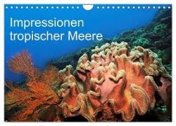 Impressionen tropischer Meere (Wandkalender 2024 DIN A4 quer), CALVENDO Monatskalender