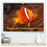 Tropische Unterwasserwelt (hochwertiger Premium Wandkalender 2024 DIN A2 quer), Kunstdruck in Hochglanz