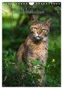 Wildkatzen - scheue Jäger (Wandkalender 2024 DIN A4 hoch), CALVENDO Monatskalender