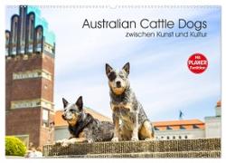 Australian Cattle Dogs zwischen Kunst und Kultur (Wandkalender 2024 DIN A2 quer), CALVENDO Monatskalender