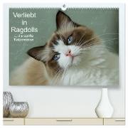 Verliebt in Ragdolls ... die sanfte Katzenrasse (hochwertiger Premium Wandkalender 2024 DIN A2 quer), Kunstdruck in Hochglanz