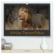 Afrikas Tiere im Fokus (hochwertiger Premium Wandkalender 2024 DIN A2 quer), Kunstdruck in Hochglanz
