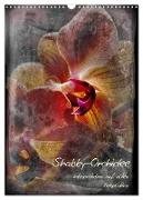 Shabby - Orchidee, Interpretation auf alten Fotoplatten (Wandkalender 2024 DIN A3 hoch), CALVENDO Monatskalender