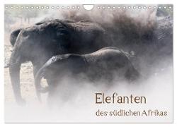 Elefanten des südlichen Afrikas (Wandkalender 2024 DIN A4 quer), CALVENDO Monatskalender