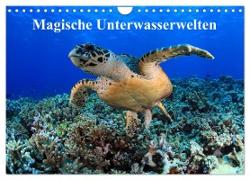Magische Unterwasserwelten (Wandkalender 2024 DIN A4 quer), CALVENDO Monatskalender