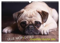 Lillie Mopsgetier - mopsfidel durchs Jahr (Wandkalender 2024 DIN A3 quer), CALVENDO Monatskalender