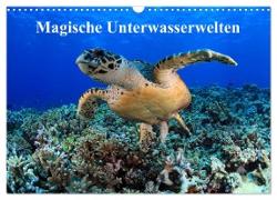 Magische Unterwasserwelten (Wandkalender 2024 DIN A3 quer), CALVENDO Monatskalender