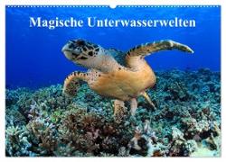Magische Unterwasserwelten (Wandkalender 2024 DIN A2 quer), CALVENDO Monatskalender