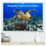 Magische Unterwasserwelten (hochwertiger Premium Wandkalender 2024 DIN A2 quer), Kunstdruck in Hochglanz