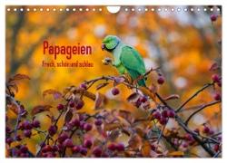Papageien - Frech, schön und schlau (Wandkalender 2024 DIN A4 quer), CALVENDO Monatskalender