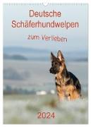 Deutsche Schäferhundwelpen zum Verlieben (Wandkalender 2024 DIN A3 hoch), CALVENDO Monatskalender