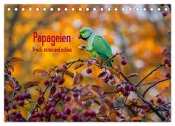 Papageien - Frech, schön und schlau (Tischkalender 2024 DIN A5 quer), CALVENDO Monatskalender