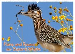 Flora und Fauna der Sonora Wüste (Wandkalender 2024 DIN A2 quer), CALVENDO Monatskalender
