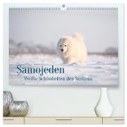 Samojeden - Liebenswerte Fellkugeln (hochwertiger Premium Wandkalender 2024 DIN A2 quer), Kunstdruck in Hochglanz