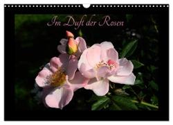 Im Duft der Rosen (Wandkalender 2024 DIN A3 quer), CALVENDO Monatskalender