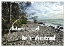 Naturschauspiel Darßer Weststrand (Wandkalender 2024 DIN A4 quer), CALVENDO Monatskalender