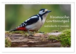 Heimische Gartenvögel - Gefiederte Freunde (Wandkalender 2024 DIN A3 quer), CALVENDO Monatskalender