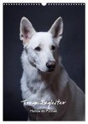 Treue Wegbegleiter, Hunde im Portrait. (Wandkalender 2024 DIN A3 hoch), CALVENDO Monatskalender