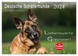 Deutsche Schäferhunde - Liebenswerte Graunasen (Wandkalender 2024 DIN A2 quer), CALVENDO Monatskalender
