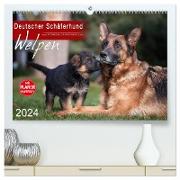 Deutscher Schäferhund - Welpen (hochwertiger Premium Wandkalender 2024 DIN A2 quer), Kunstdruck in Hochglanz