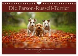 Die Parson-Russell-Terrier ...mit neuen Abenteuern aus der Hundeknipserei (Wandkalender 2024 DIN A4 quer), CALVENDO Monatskalender