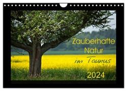 Zauberhafte Natur im Taunus (Wandkalender 2024 DIN A4 quer), CALVENDO Monatskalender