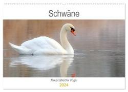 Schwäne Majestätische Vögel (Wandkalender 2024 DIN A2 quer), CALVENDO Monatskalender