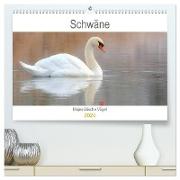 Schwäne Majestätische Vögel (hochwertiger Premium Wandkalender 2024 DIN A2 quer), Kunstdruck in Hochglanz