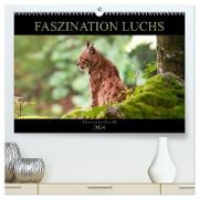 Faszination Luchs (hochwertiger Premium Wandkalender 2024 DIN A2 quer), Kunstdruck in Hochglanz