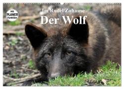Im Rudel Zuhause - Der Wolf (Wandkalender 2024 DIN A2 quer), CALVENDO Monatskalender