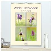 Wilde Orchideen in Deutschland 2024 (hochwertiger Premium Wandkalender 2024 DIN A2 hoch), Kunstdruck in Hochglanz