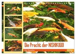 Die Pracht der NISHIKIGOI - Koi Karpfen (Wandkalender 2024 DIN A4 quer), CALVENDO Monatskalender