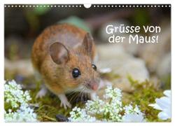 Grüsse von der Maus! (Wandkalender 2024 DIN A3 quer), CALVENDO Monatskalender