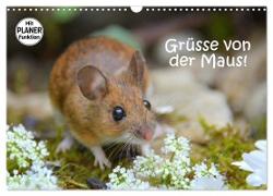 Grüsse von der Maus! (Wandkalender 2024 DIN A3 quer), CALVENDO Monatskalender